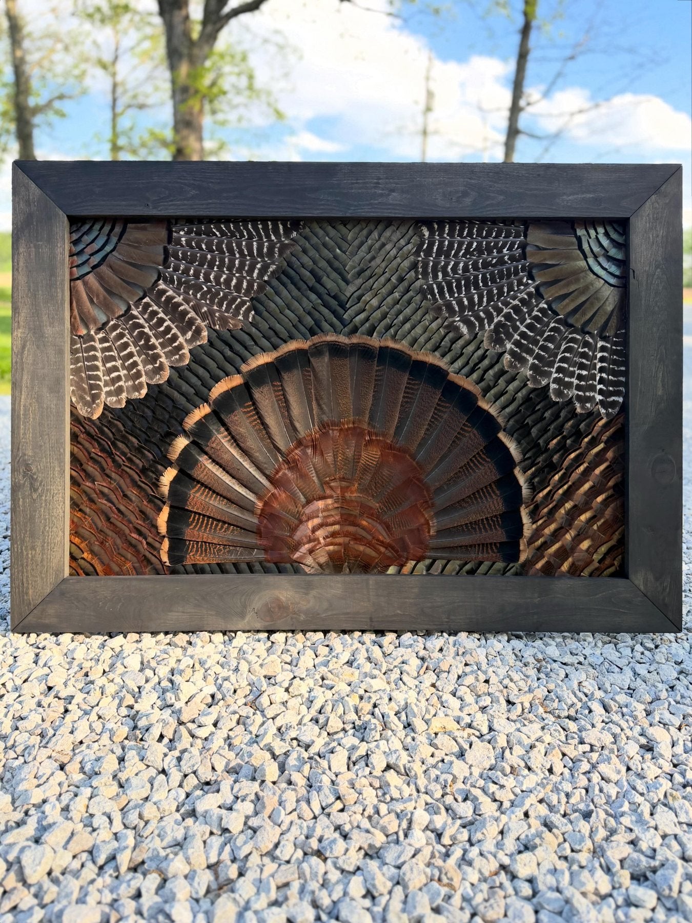 Custom turkey feather art in a dark wood frame