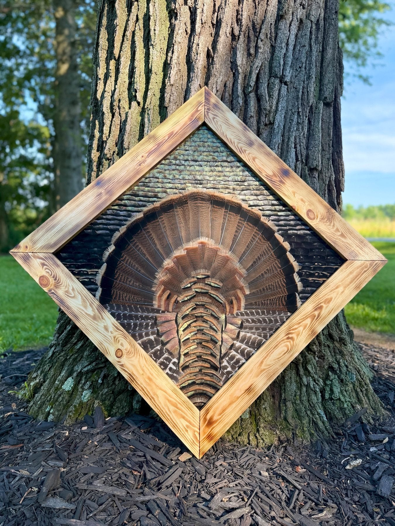 Diamond turkey feather artwork