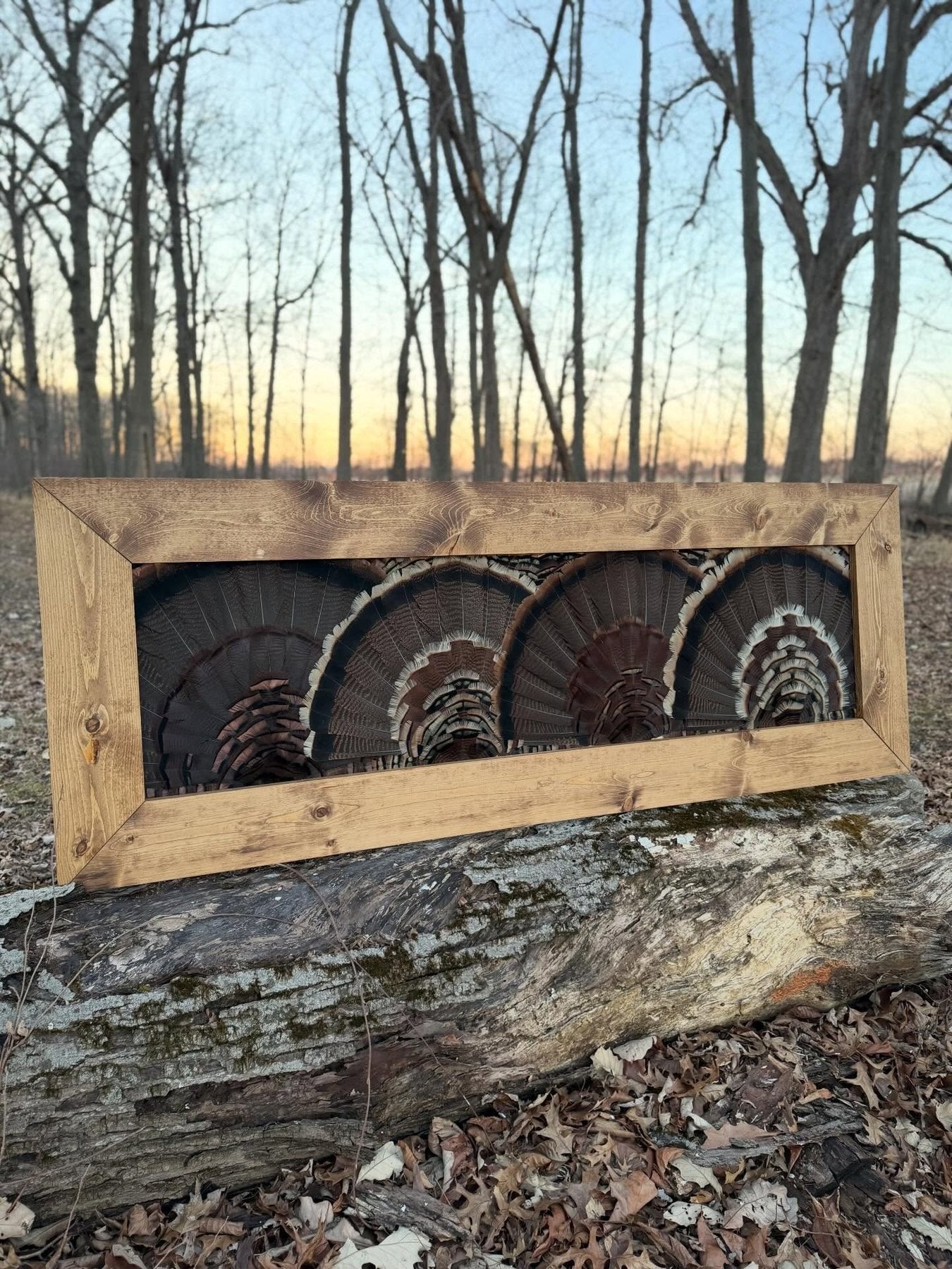 Multi fan turkey feather artwork outdoors