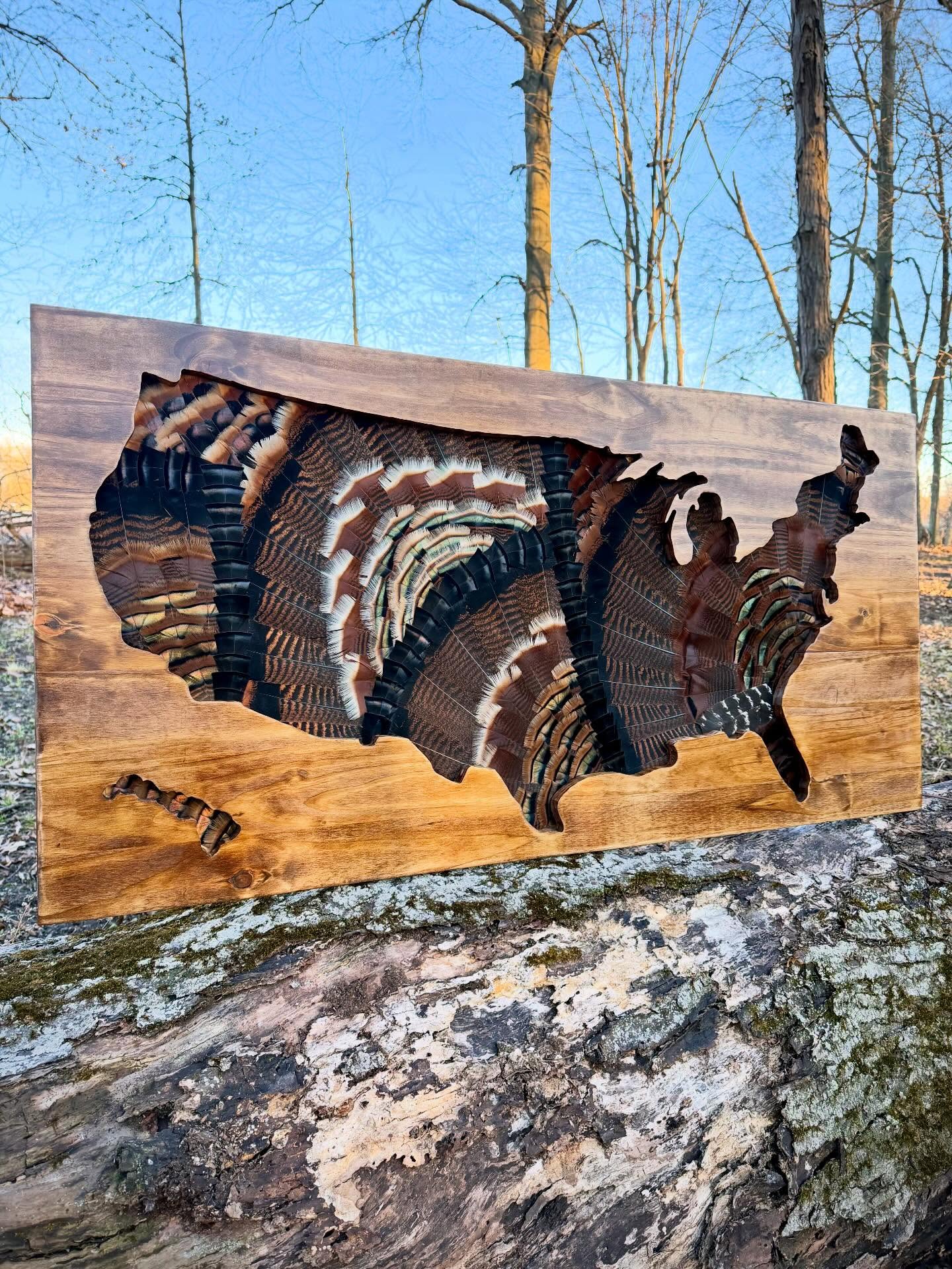USA Grand Slam custom turkey feather artwork