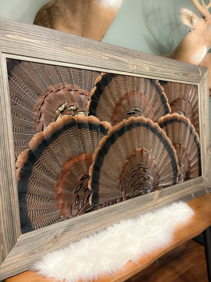 Grand Slam turkey feather artwork