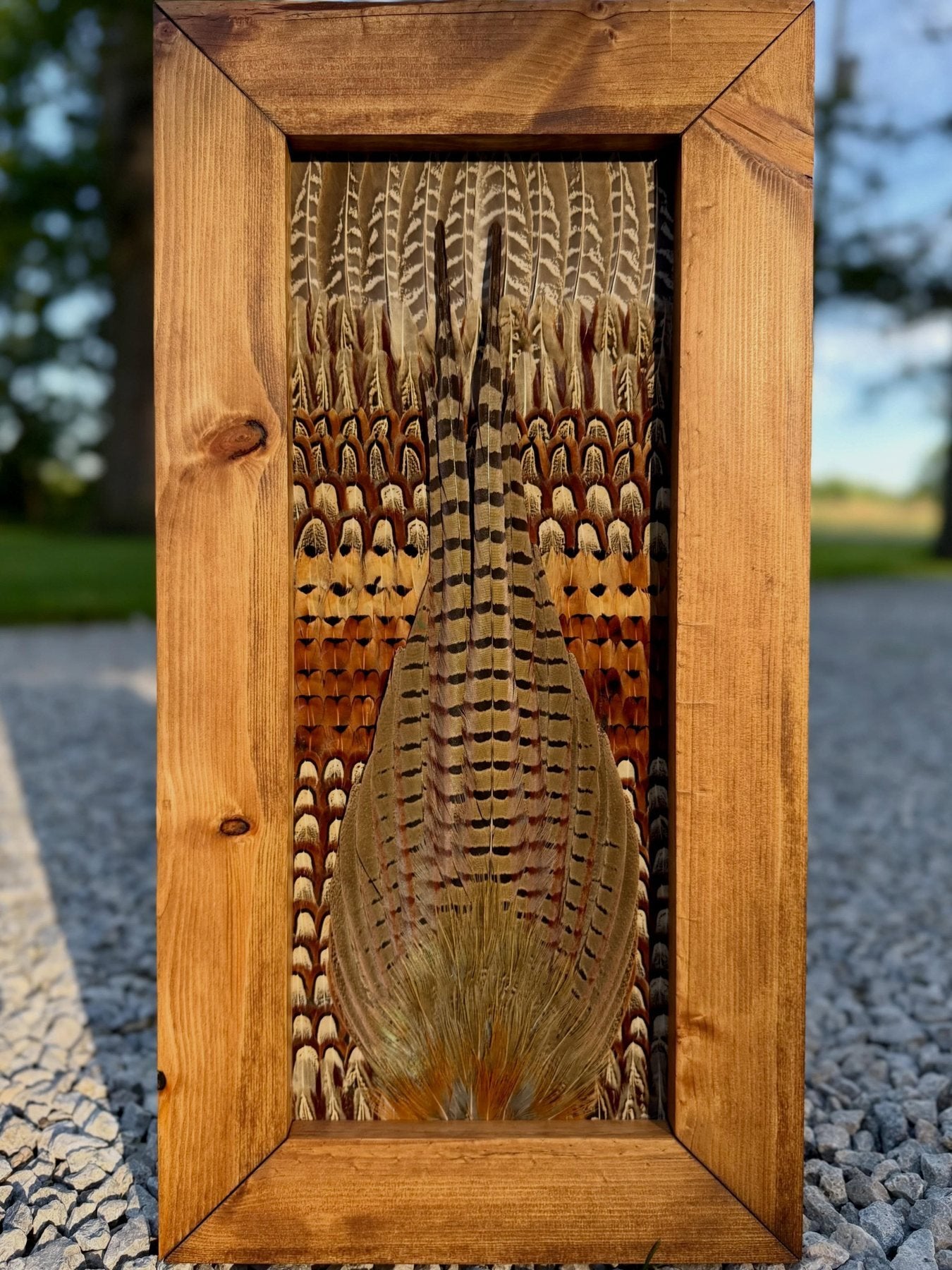 Vertical pheasant feather artwork