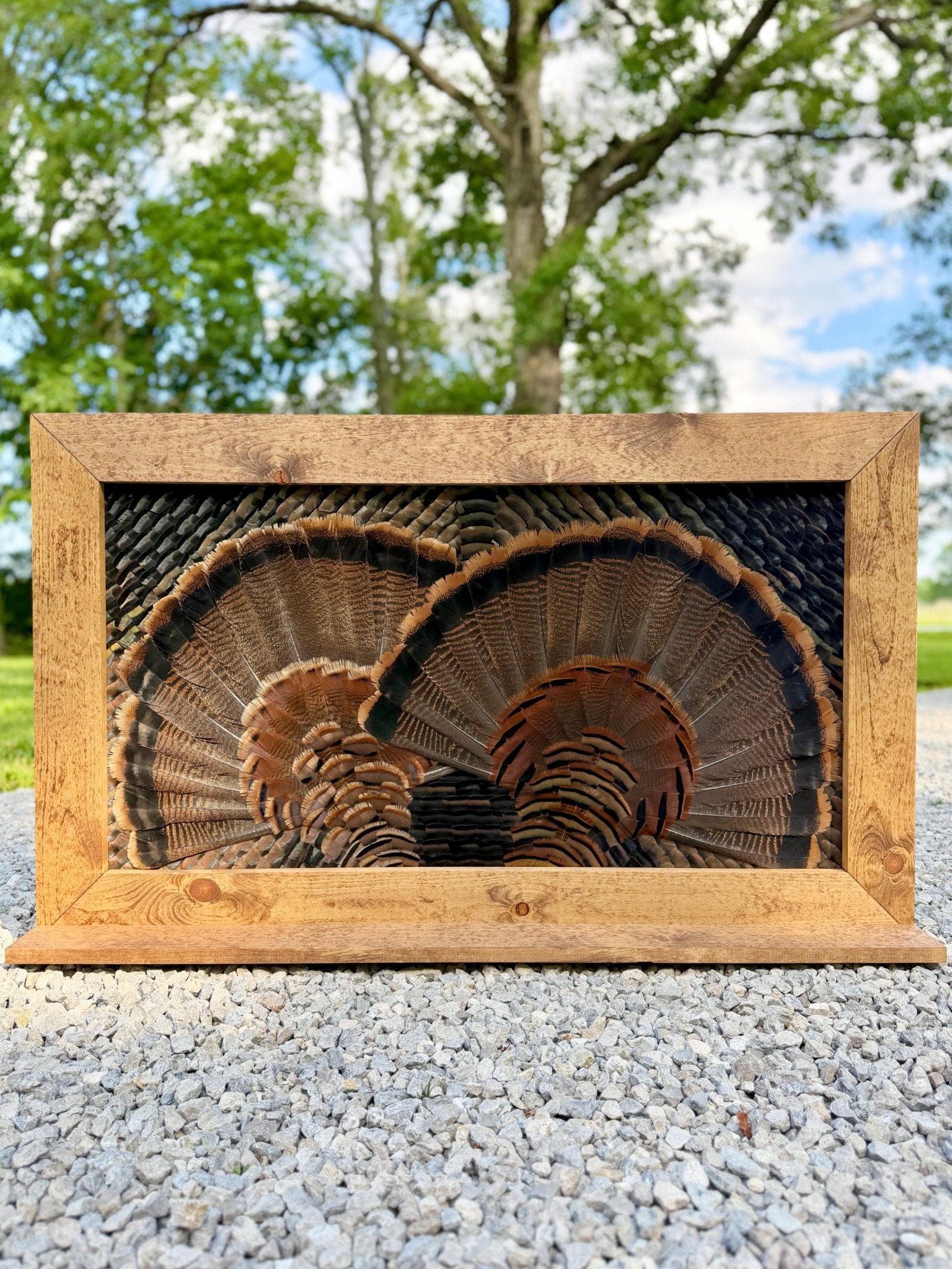 Custom framed turkey feather artwork