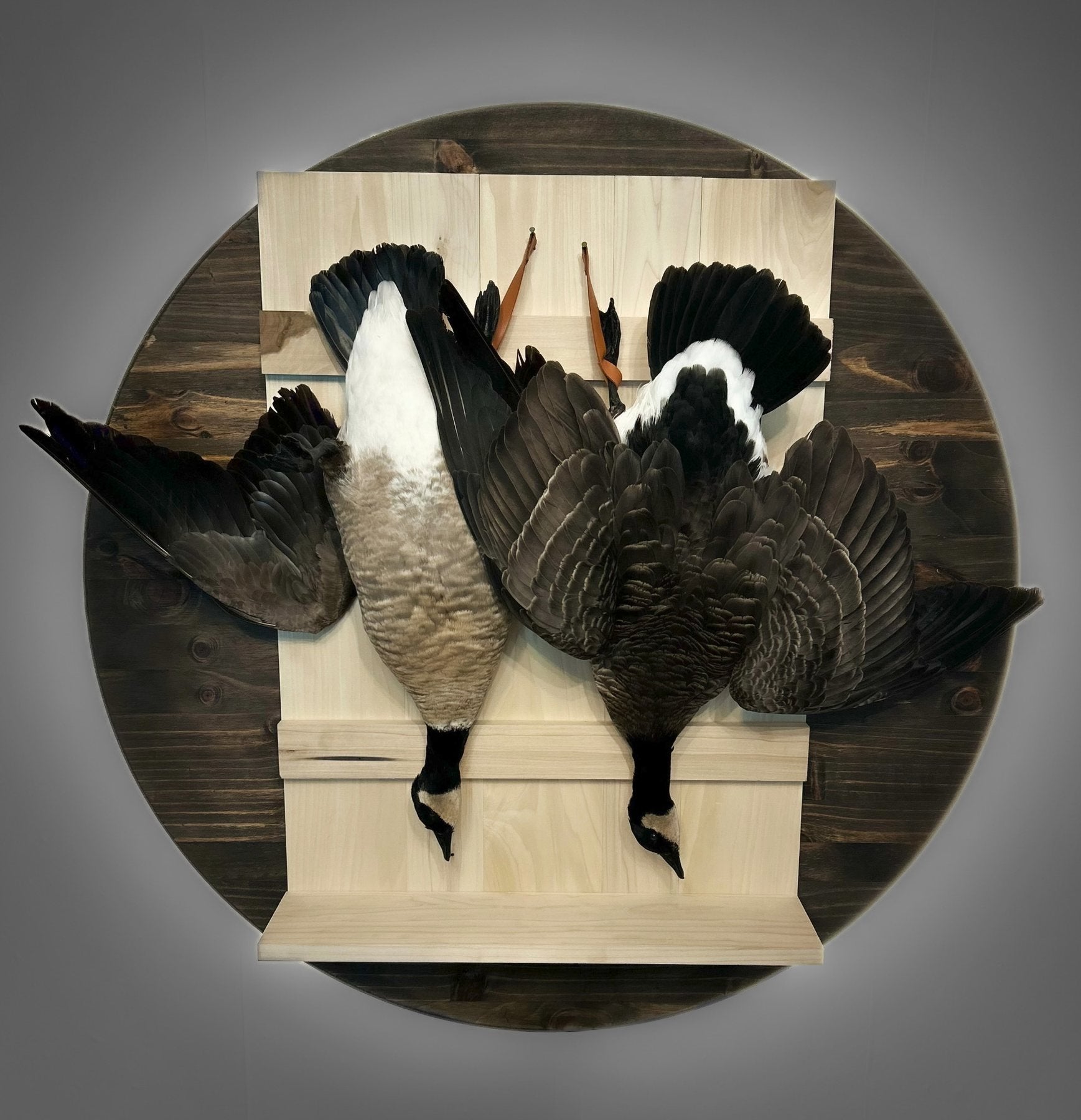 Custom goose taxidermy mounts