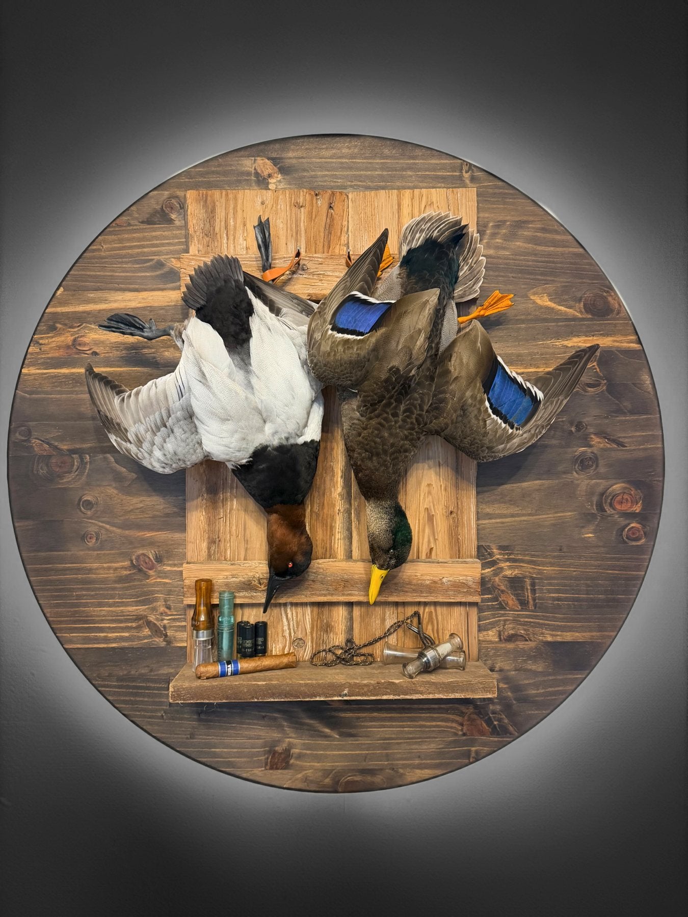 Pair of duck taxidermy mounts